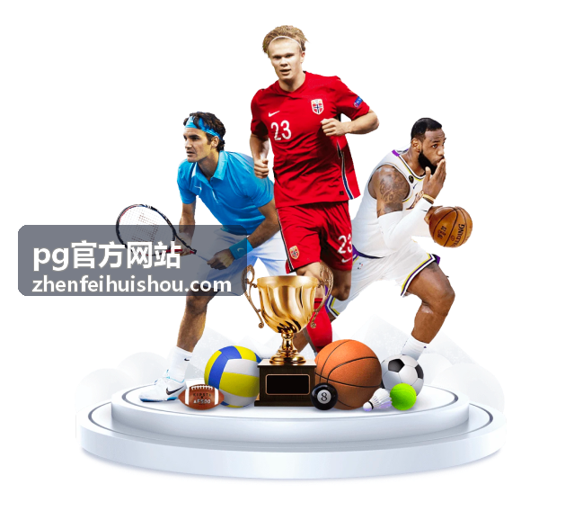 pg官方网站账号找回与身份核验材料说明配图