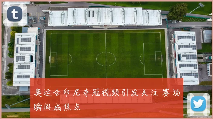 奥运会印尼夺冠视频引发关注 赛场瞬间成焦点