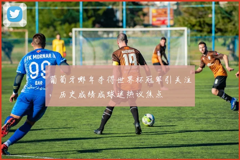 葡萄牙哪年夺得世界杯冠军引关注，历史成绩成球迷热议焦点