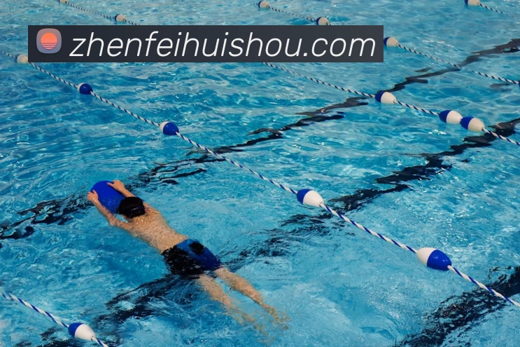 奖项证书